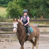 Immersion en famille & Summer Camp – Poney – Anglais – Irlande