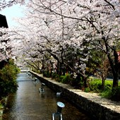 Cours de langue - Japonais - Japon - Kyoto