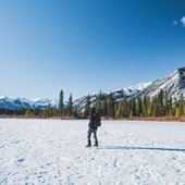 Programme scolaire - anglais - Canada - Alberta - Livingstone Range