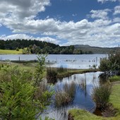 Programme scolaire - Anglais - Australie - Tasmania